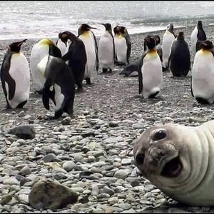 Meet your Posher, Mark